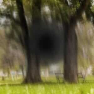 Macular Degeneration