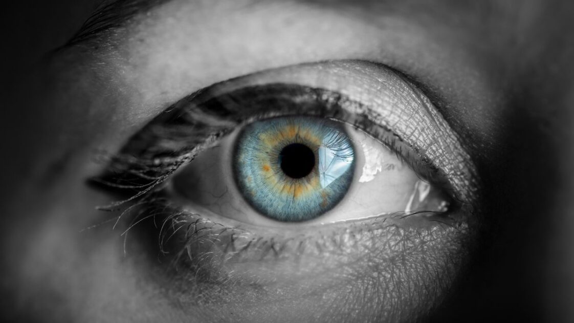 the-iris-eye-definition-function-and-diseases