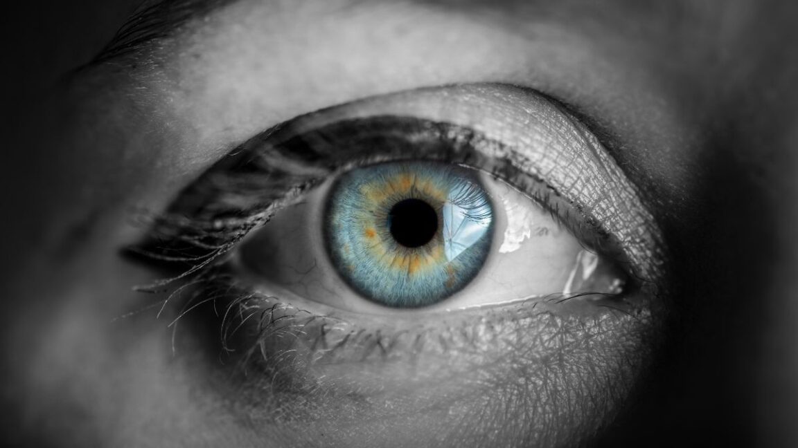 The Iris Eye : Definition, Function and Diseases